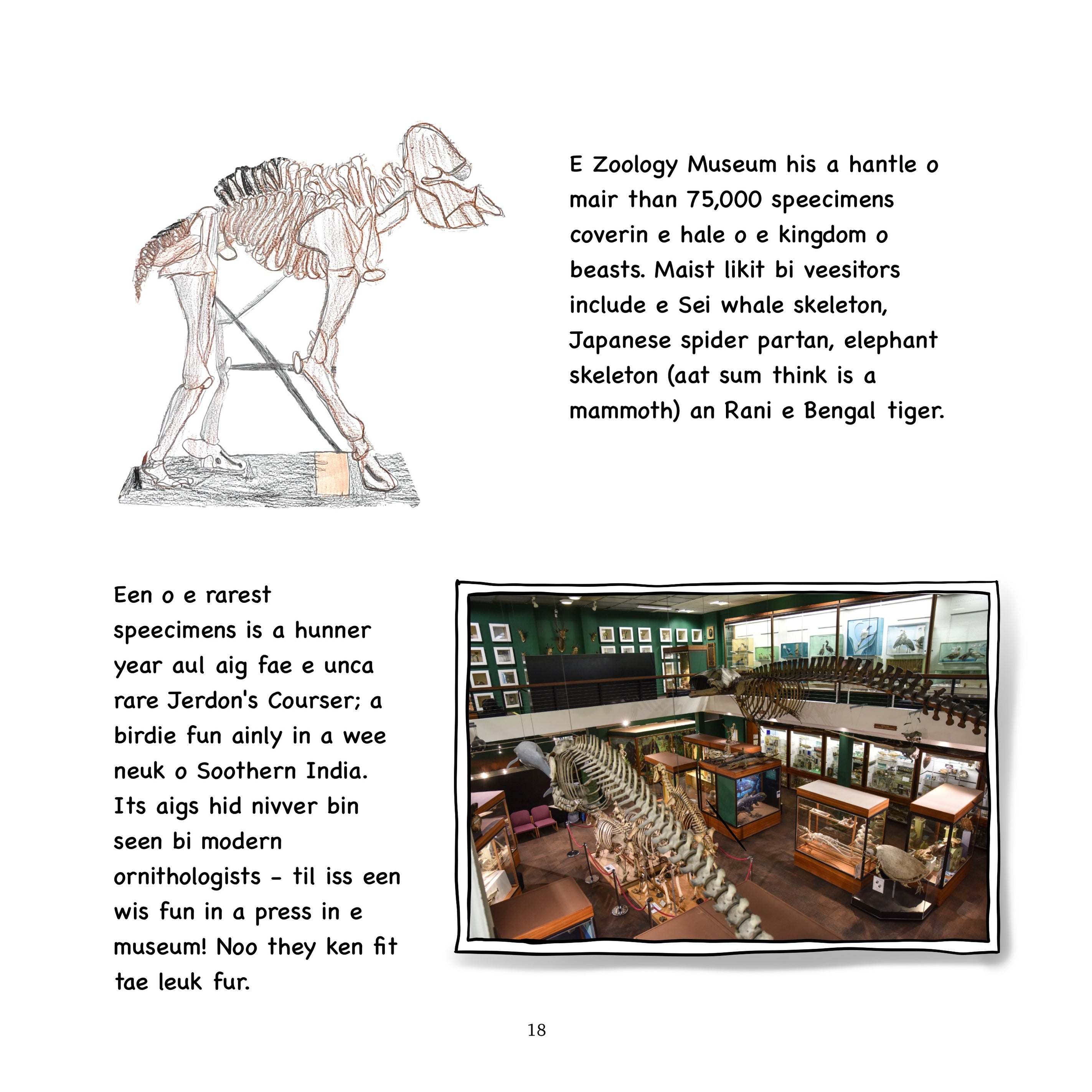 Aiberdeen Rauf A Unicorn's Guide Tae Aul Aiberdeen — Doric Books